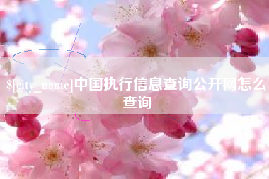 淮滨中国执行信息查询公开网怎么查询
