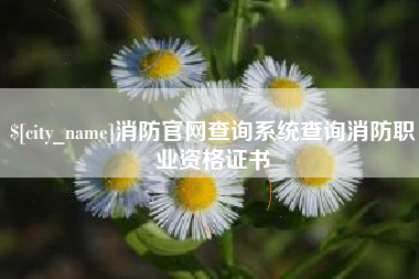 淮滨消防官网查询系统查询消防职业资格证书