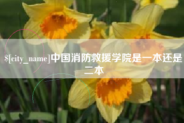 淮滨中国消防救援学院是一本还是二本