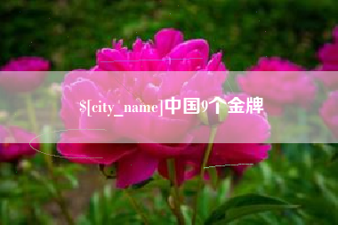 淮滨中国9个金牌