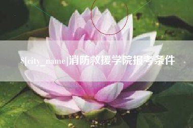 淮滨消防救援学院报考条件