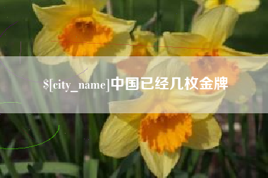 淮滨中国已经几枚金牌