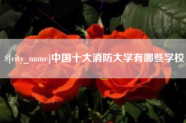 淮滨中国十大消防大学有哪些学校