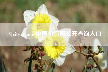 淮滨中国执行网公开查询入口