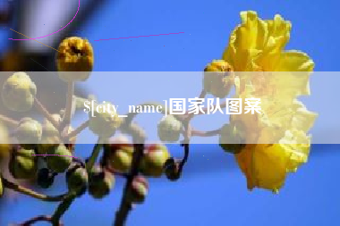 淮滨国家队图案