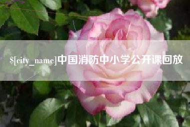 淮滨中国消防中小学公开课回放