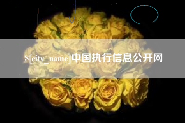 淮滨中国执行信息公开网