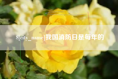 淮滨我国消防日是每年的