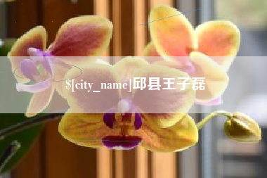 淮滨邱县王子磊
