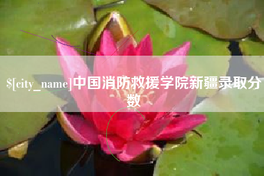 淮滨中国消防救援学院新疆录取分数