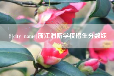 淮滨浙江消防学校招生分数线