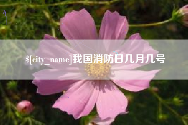 淮滨我国消防日几月几号
