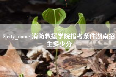 淮滨消防救援学院报考条件湖南招生多少分