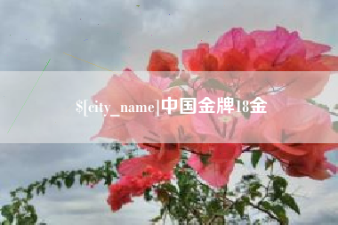 淮滨中国金牌18金