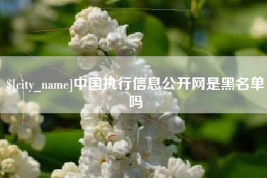淮滨中国执行信息公开网是黑名单吗