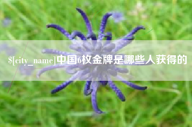 淮滨中国6枚金牌是哪些人获得的