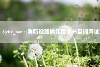淮滨消防设施操作员证书查询网址