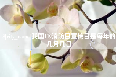 淮滨我国119消防日宣传日是每年的几月几日