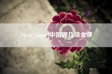 淮滨中国哪几项金牌