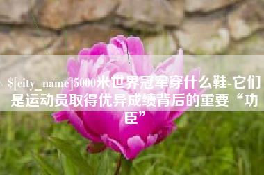 淮滨5000米世界冠军穿什么鞋-它们是运动员取得优异成绩背后的重要“功臣”