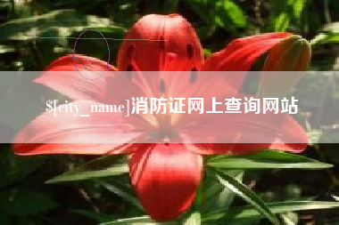 淮滨消防证网上查询网站