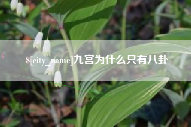 淮滨九宫为什么只有八卦