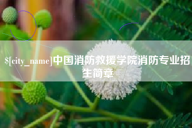 淮滨中国消防救援学院消防专业招生简章