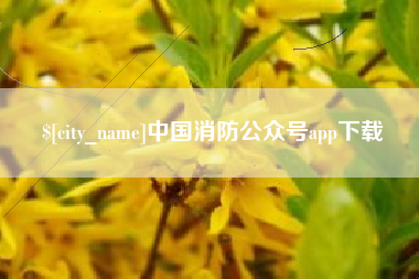 淮滨中国消防公众号app下载
