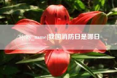 淮滨我国消防日是哪日