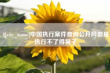 淮滨中国执行案件查询公开网都是执行不了得案子