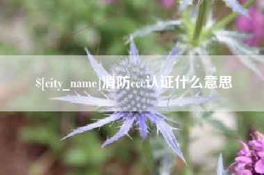 淮滨消防ccc认证什么意思