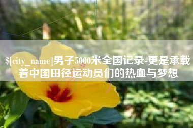 淮滨男子5000米全国记录-更是承载着中国田径运动员们的热血与梦想