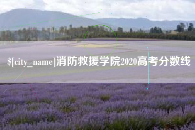 淮滨消防救援学院2020高考分数线