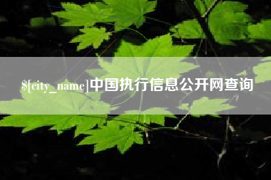 淮滨中国执行信息公开网查询