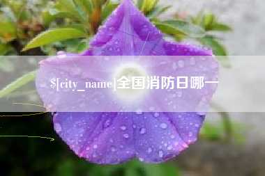 淮滨全国消防日哪一