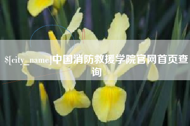 淮滨中国消防救援学院官网首页查询