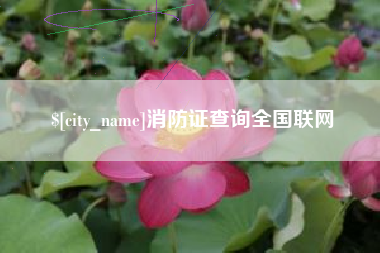 淮滨消防证查询全国联网