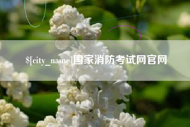 淮滨国家消防考试网官网