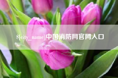 淮滨中国消防网官网入口