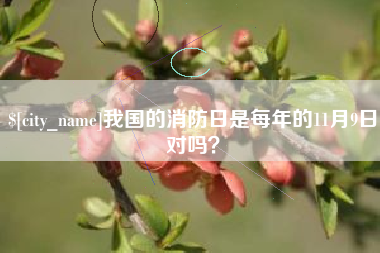 淮滨我国的消防日是每年的11月9日对吗？