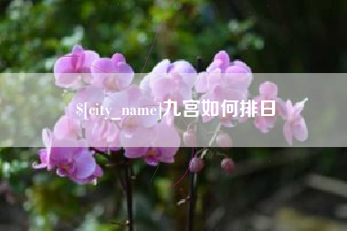 淮滨九宫如何排日