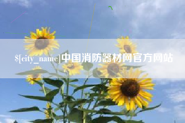 淮滨中国消防器材网官方网站