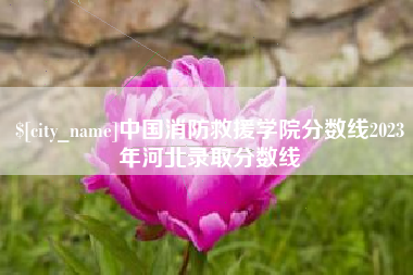 淮滨中国消防救援学院分数线2023年河北录取分数线