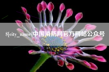 淮滨中国消防网官方网站公众号