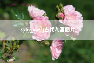 淮滨古代九宫图片