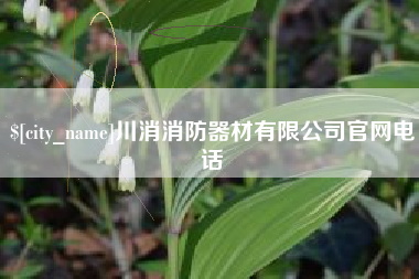 淮滨川消消防器材有限公司官网电话