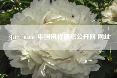 淮滨中国执行信息公开网 网址