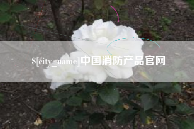 淮滨中国消防产品官网