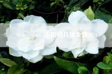 淮滨中国的几块金牌2021