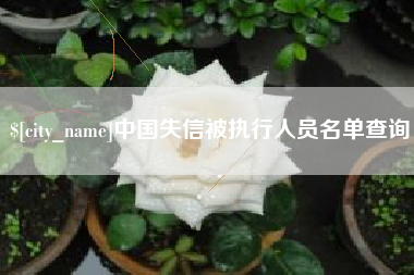 淮滨中国失信被执行人员名单查询